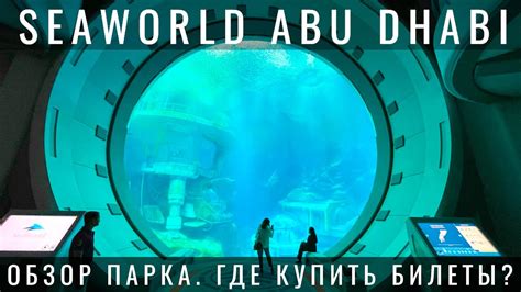 SeaWorld Abu Dhabi. Морской Мир Абу Даби. Все об уникальном ...