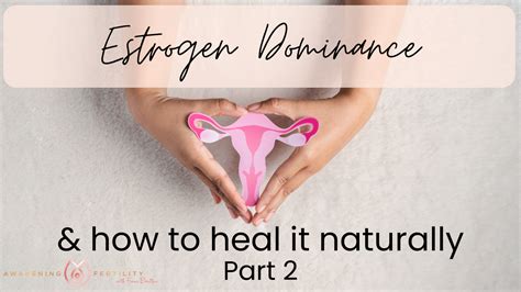 Estrogen Dominance And How To Heal It Naturally Part 2 Awakening