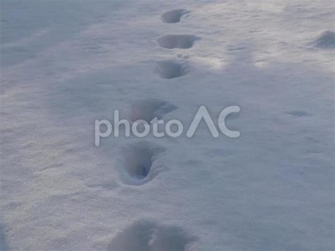 雪の上の続く足跡 No 27155160｜写真素材なら「写真ac」無料（フリー）ダウンロードok