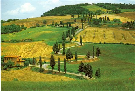 Piano Paesaggio E Vigneti Rossi Importante Apertura Al Mondo