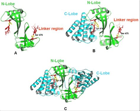 Wild Type And Mutant Type Crystal Structure Of The Btk Kinase Domain