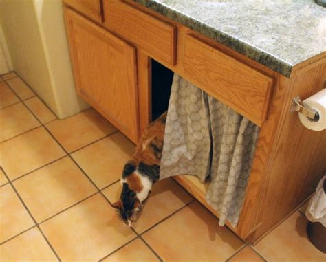 Cute And Easy Way To Hide Your Litter Box Litter Box Litter Space Cat