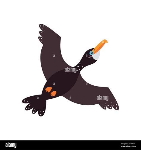 Vector Illustration On White Background Cormorant Bird Stock Vector