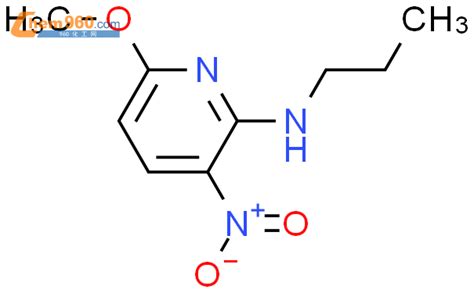 94166 56 0 2 Pyridinamine 6 methoxy 3 nitro N propyl 化学式结构式分子式mol