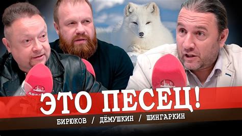 ЭТО ПЕСЕЦ! - YouTube