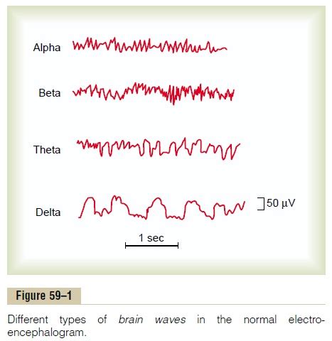 Brain Waves