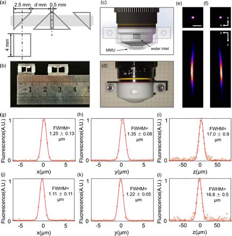 Researching Simultaneous Dual Region Two Photon Imaging Of Biological