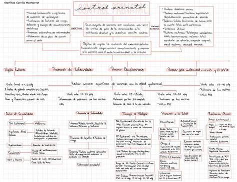 Mapa Conceptual Control Prenatal Montserrat Martínez uDocz