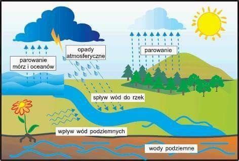 Plansza Dydaktyczna Obieg Wody W Przyrodzie Do Druku Za Darmo Artofit
