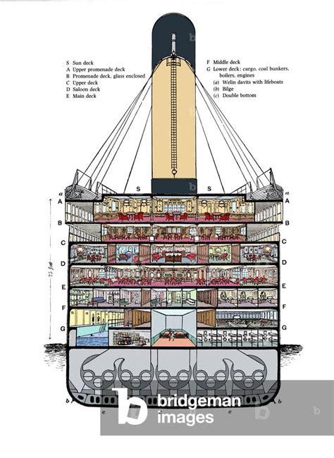 Titanic Cross Section