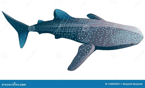 Whale Shark Cartoon Wallpaper