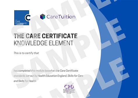 Learn To Be A Caregiver Certificate In Care CareTuition