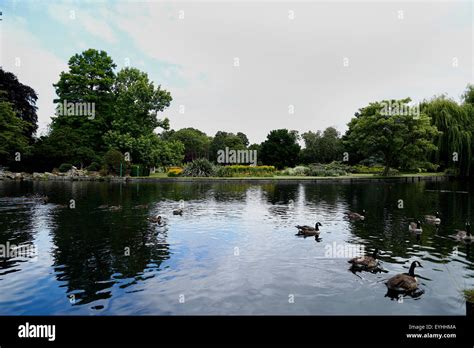 Beddington Park Lake In South London Stock Photo Alamy