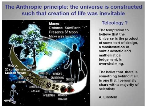 The Anthropic Principle Is For Sapients Only Vern Bender