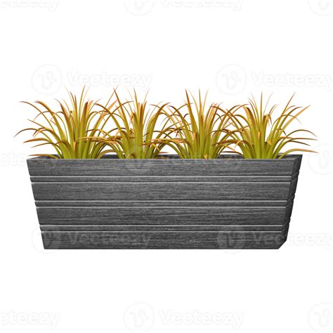 Grass Greenery Plants In Rectangular Brown Wood Planter Box 50493575 Png