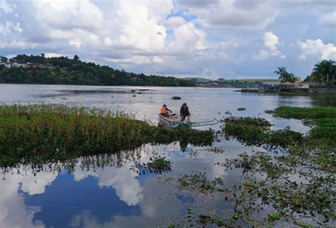 Prefeitura de Poços inicia a retirada de aguapés da represa Bortolan