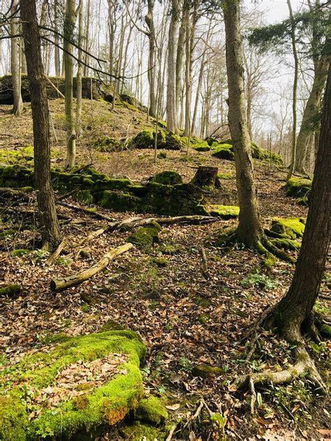 Dundas Valley Conservation Area Photos Jolanda Gaite Flickr