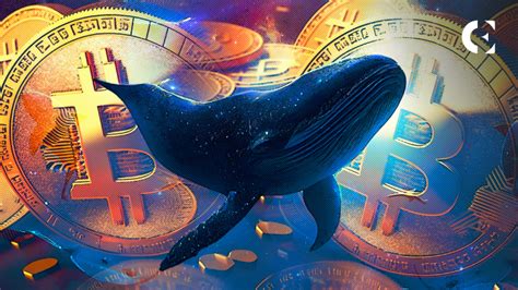 Whale Accumulates 1 750 BTC Within The Past 2 Days