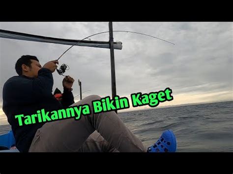 Strike Ikan Besar Di Spot Ultralight Jigging Dangkal Dengan Metal Jig