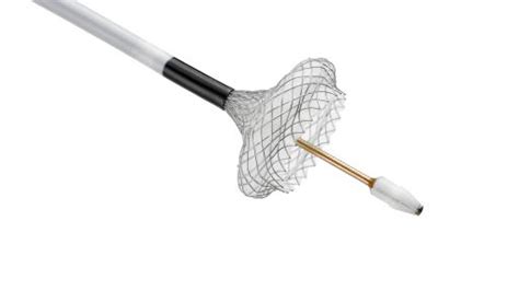 Boston Scientific Launches the AXIOS™ Stent and Electrocautery Enhanced Delivery System