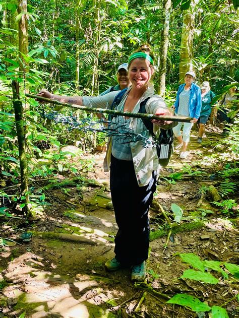 Lizards On The Edge Teachers Investigate Predation Risk Morpho Institute