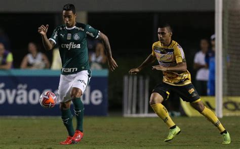 Palmeiras X Novorizontino Relembre Como Foi O Jogo Da 1a Fase Do