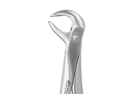 Buy GDC Extraction Forceps Lower Molars 73 Ergonomic Fx73e At Best