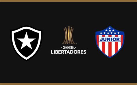 Botafogo X Junior Barranquilla Pela Libertadores 2024 Onde Assistir Ao