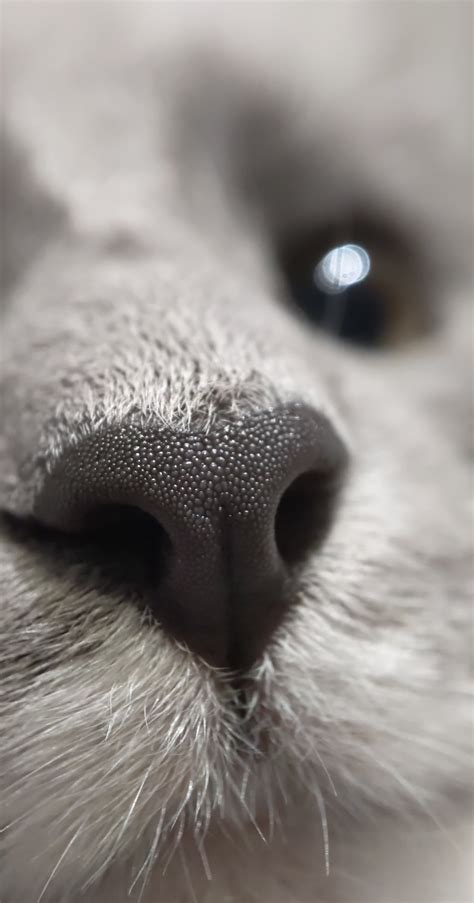 1299 Best Macro Shot Images On Pholder Interestingasfuck Macro Porn