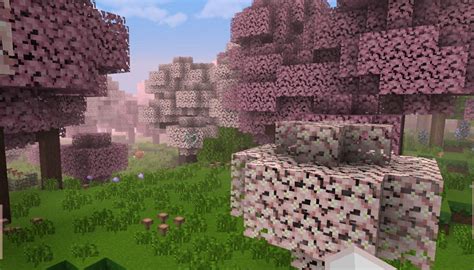 Minecraft Cherry Blossom Biome