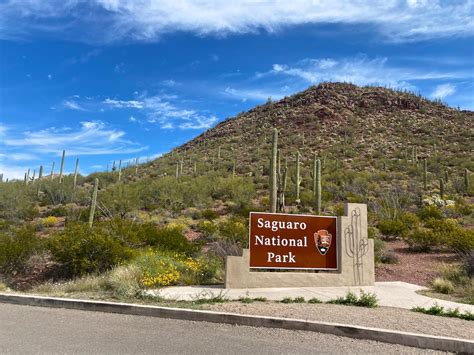 Saguaro National Park East Vs West Compared Uponarriving