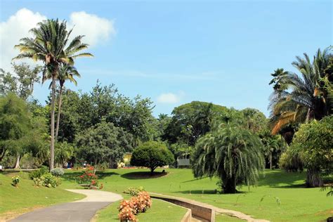 Botanic Gardens: Destination Trinidad and Tobago | Tours, Holidays ...