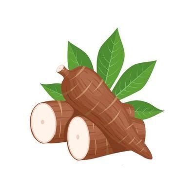 Vintage Cassava Logo Illustration Suitable For Fruit Shop And Fruit