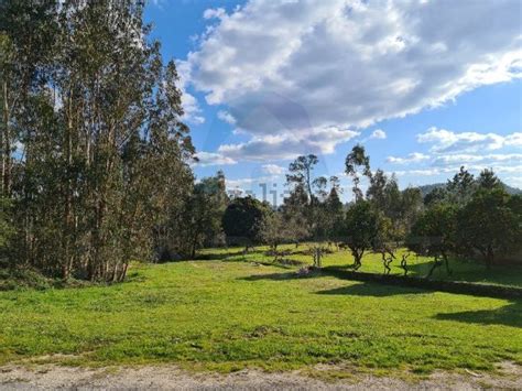 Terreno à venda em Guia Ilha Mata Mourisca Pombal idealista