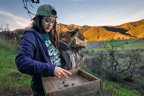 Could the Corvid Conservation Corps Replant a Forest After Fire? | Audubon