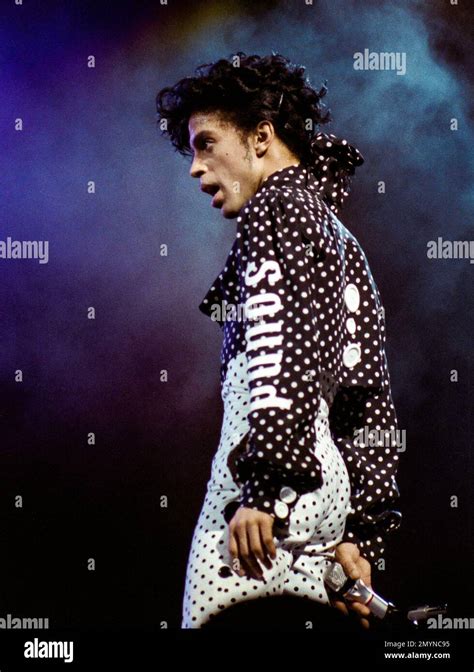 prince lovesexy concert