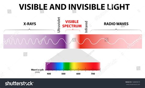 The Spectrum Of Waves Includes Infrared Rays Visible Light