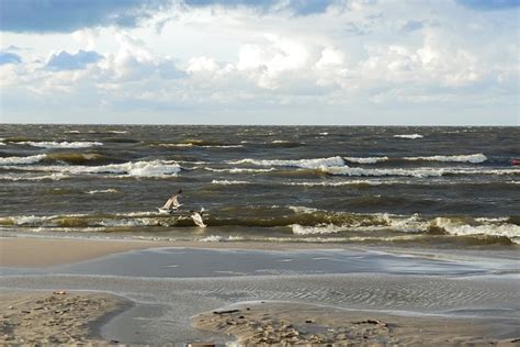 Morze Bałtyckie Baltic Sea Free photo on Pixabay Pixabay