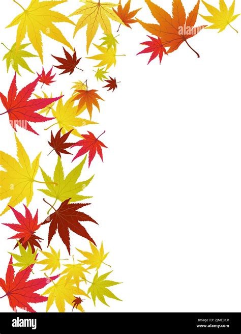 Autumn Leaves Border. Red, yellow and orange color fall leaves with ...