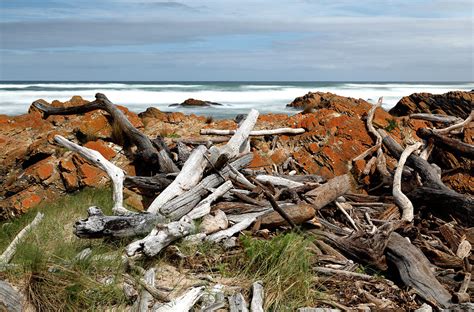 Desolate Shore Photograph By Nicholas Blackwell Fine Art America