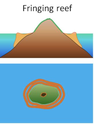 Oceanography Final Flashcards Quizlet