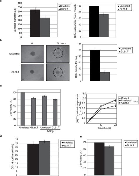 GL21 T Aptamer Inhibits Spheroid Formation A U87MG Spheroid Diameter