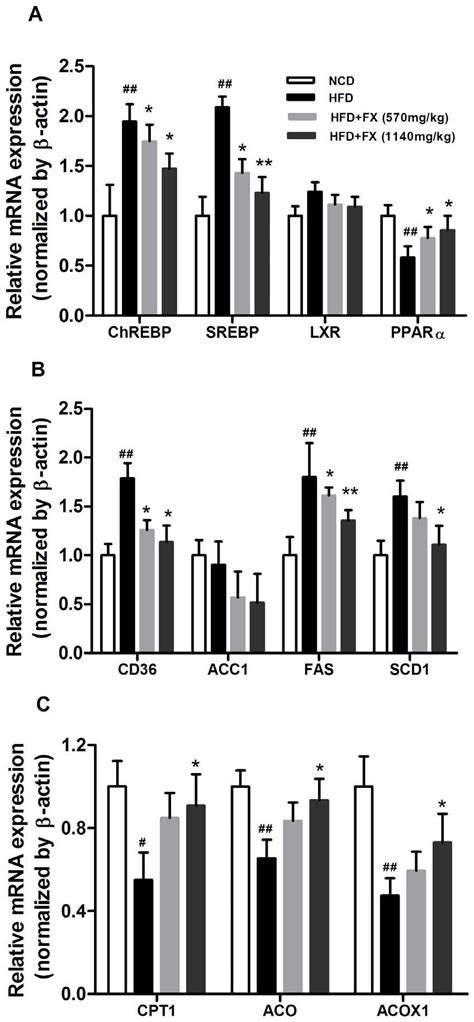 Gene Expression Of Lipid Metabolism Regulators Relative Expression Of