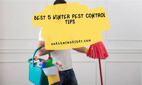 Best Winter Pest Control Tips Gardens Nursery