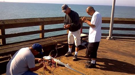 James Brown Catches His St Thresher Shark Ventura Pier Fishing Youtube