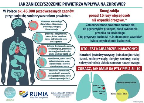 Zanieczyszczone Powietrze Skraca Ycie Wejherowski Alarm Smogowy