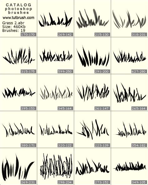 Grass Photoshop Brushes Ercrm