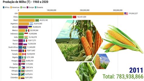 os maiores produtores de milho do mundo entre 2000 até 2020 YouTube