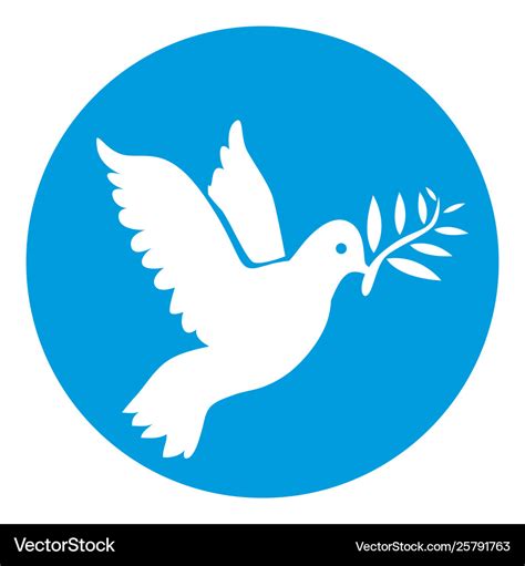 Dove white color symbol peace isolated Royalty Free Vector