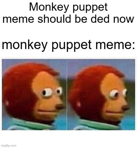 Monkey Puppet Meme Template